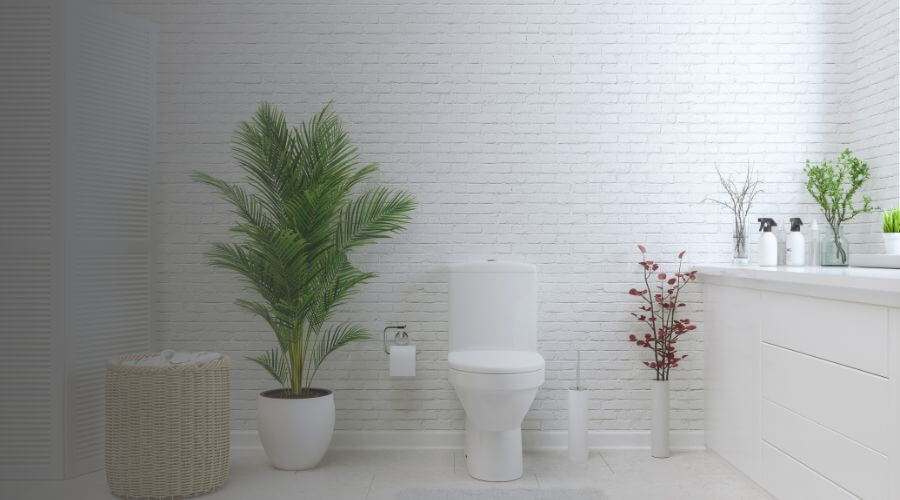 Why choose Lowell Portable Toilets Rental for construction toilets in Lowell,Ma